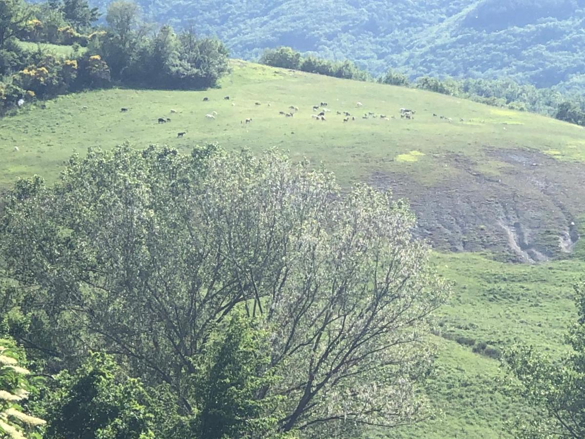 Вилла Agriturismo Il Covo Del Solengo Valtopina Экстерьер фото