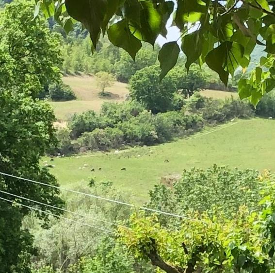 Agriturismo Il Covo Del Solengo Valtopina Экстерьер фото