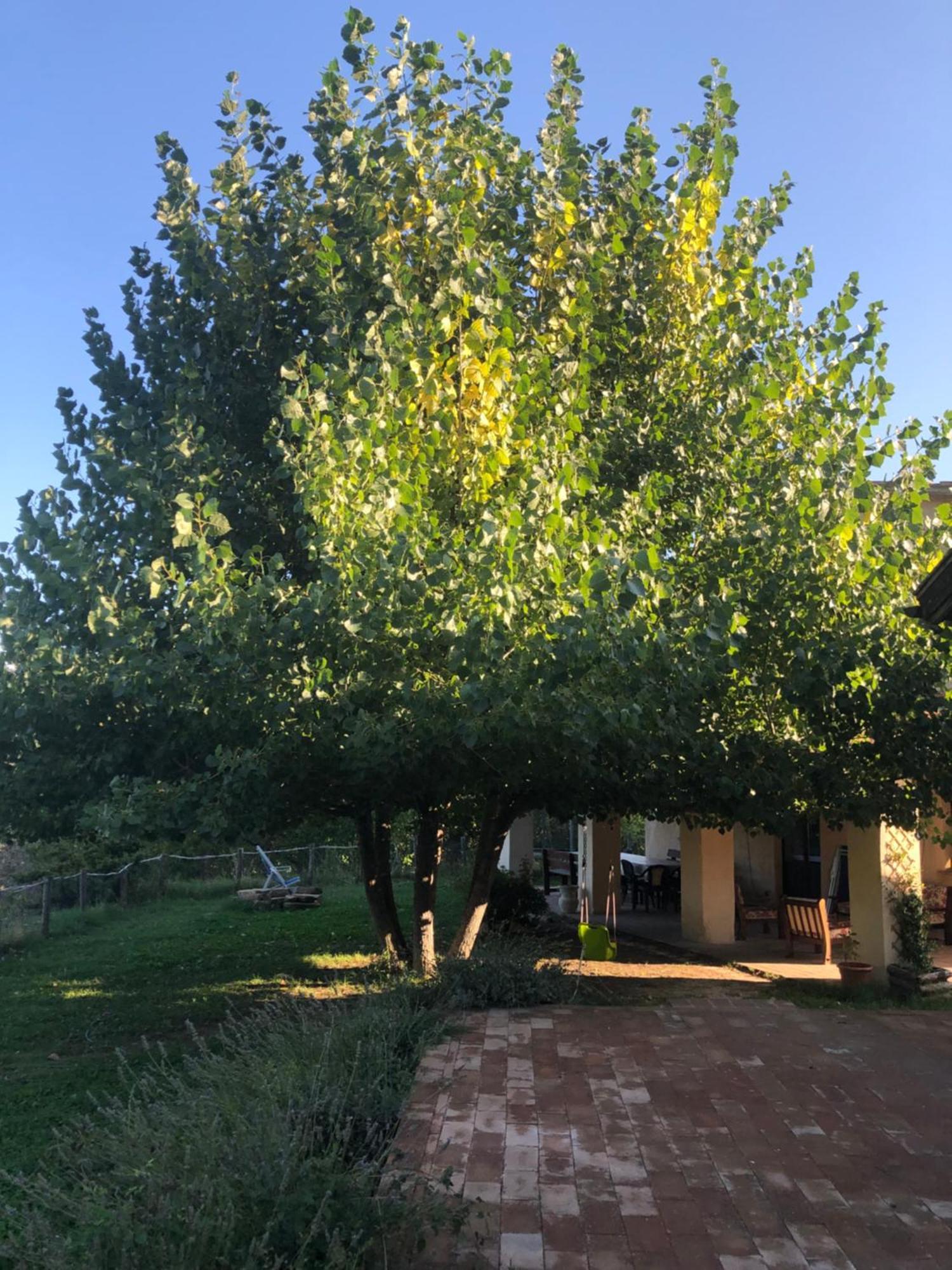 Agriturismo Il Covo Del Solengo Valtopina Экстерьер фото